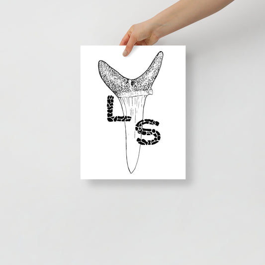 Shark Tooth Poster