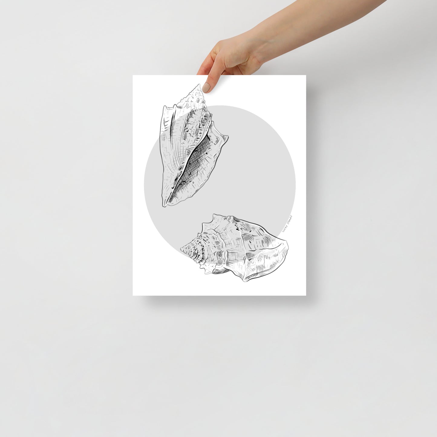 Gastropods Poster