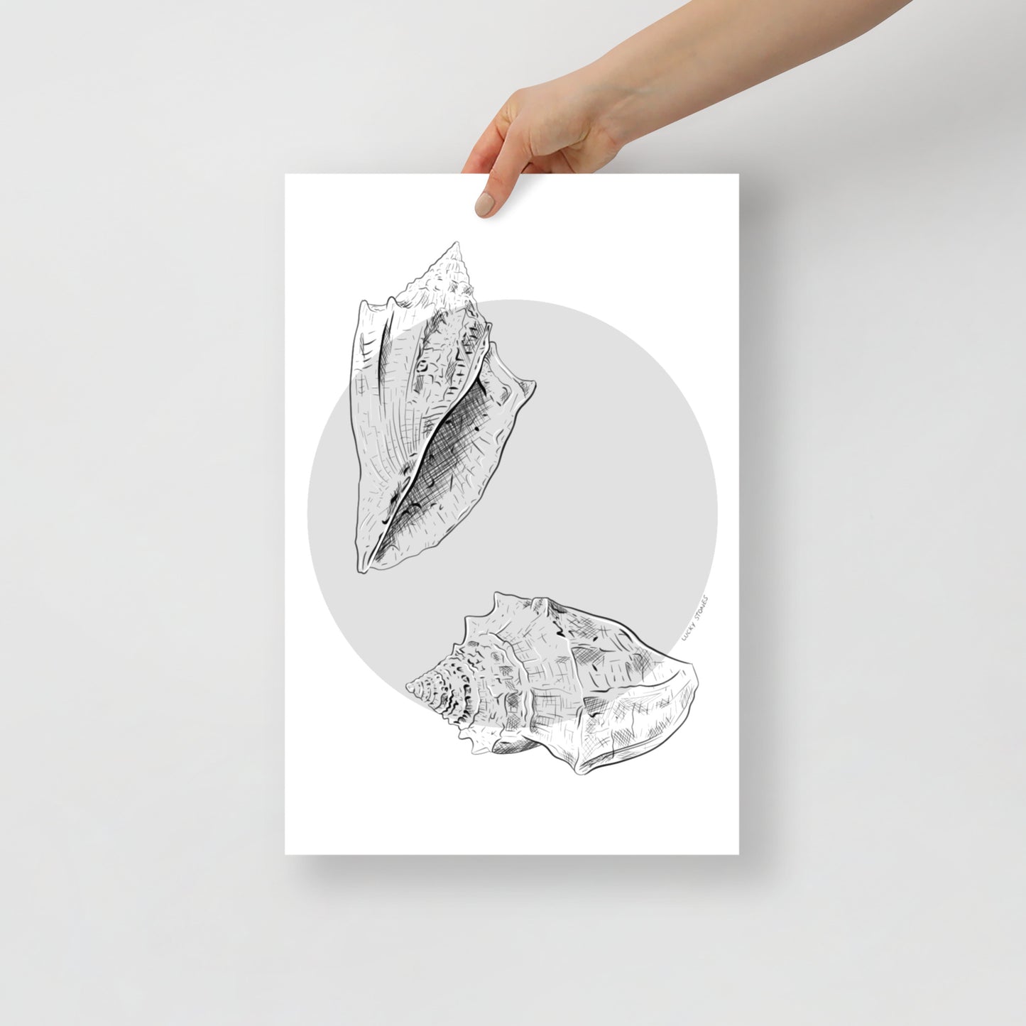 Gastropods Poster