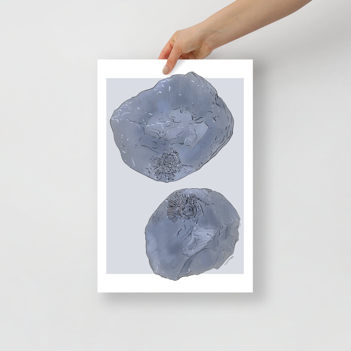 Yorkshire Ammonite Nodule Poster