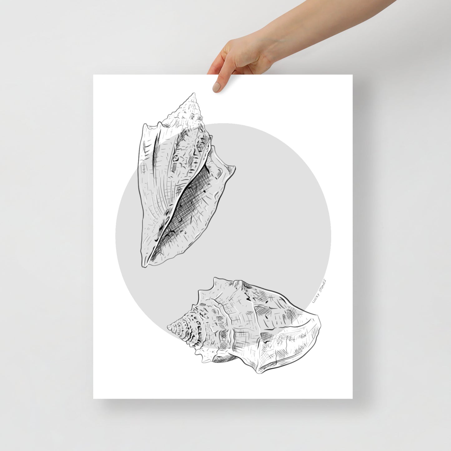 Gastropods Poster